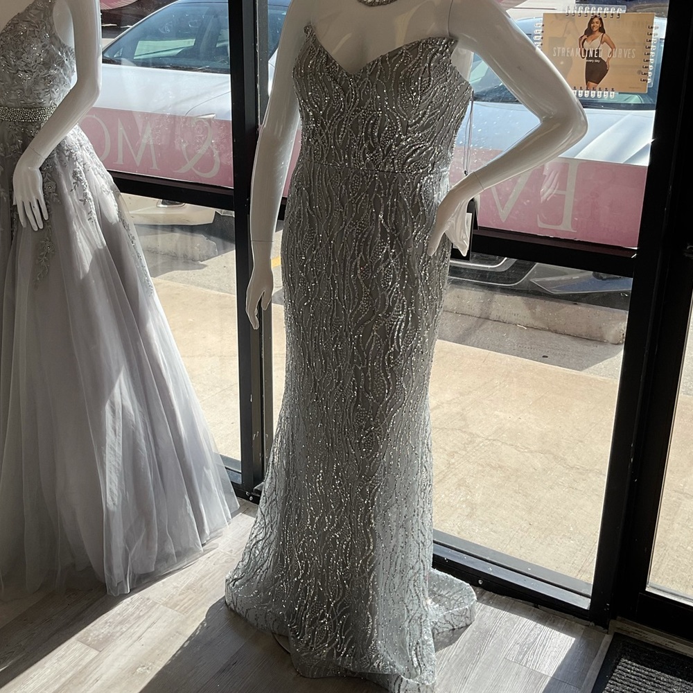 Silver Cinderella divine dress